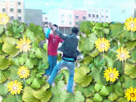 abdo +nor