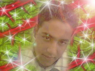 abdo