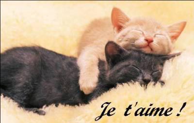 love